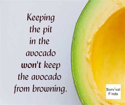 279 Followers, 275 Following, 28 Posts - See Instagram photos and videos from Smart Avocado Apuntes (@smart_avocado)